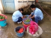 GUANGXI2013