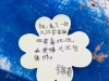 GUANGXI2019